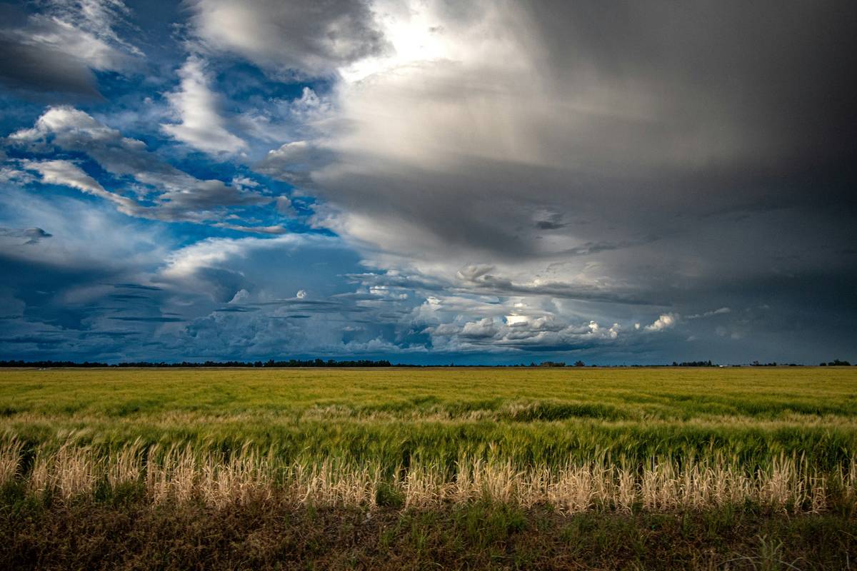 hail crop defense coverage: Your Last Line of Defense Against Sky-Fired Ruin