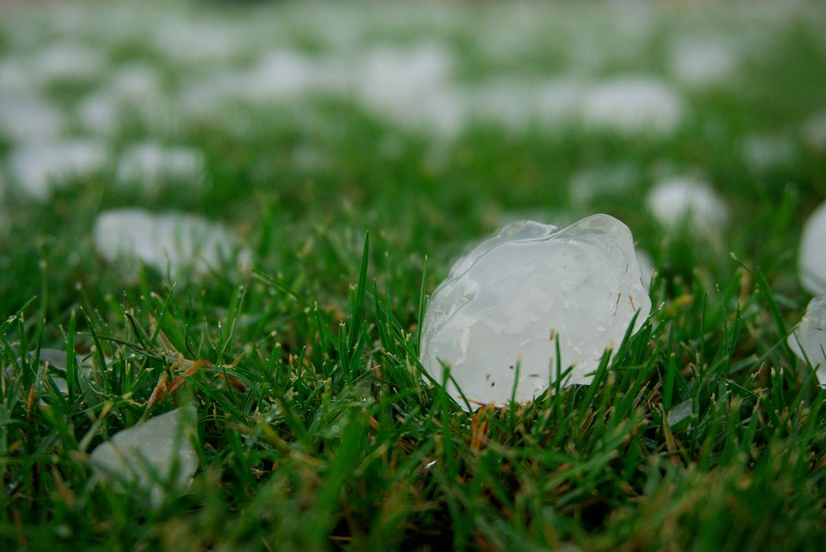Why Every Farmer Needs a Crop Hail Protection Policy—Before the Sky Turns Black